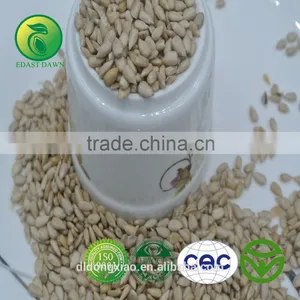 Wholesale Agriculture Sunflower Seed Kernel for Oil thumbnail-1