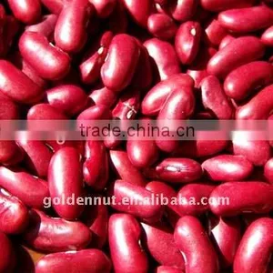 Dark Red Kidney Beans thumbnail-1