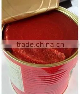 425g Nature Red Canned Tomato Paste. thumbnail-4