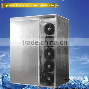 Rozen Ark Stainless Steel Two-door Big Production Can be Customized Seafood Frozen Ark thumbnail-5