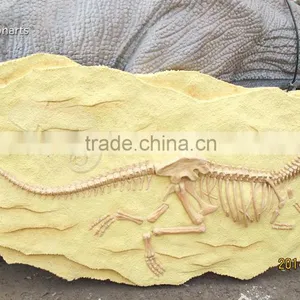 Hot Sale Fiberglass Life Size Dinosaur Skull thumbnail-6
