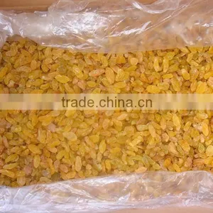 Top Quality AD Dried Golden Raisins for Sale thumbnail-3
