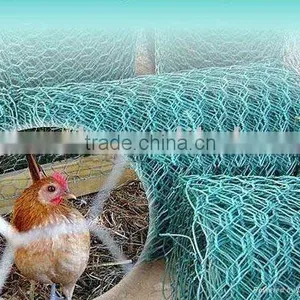 PVC Coated Hexagonal Wire Netting thumbnail-1