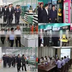 Hary Industry Group Limited company overview - view 2 thumbnail