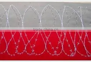 Barbed Wire thumbnail-1