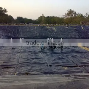 China Top Fish Farm Pond Liner HDPE Geomembrane thumbnail-1