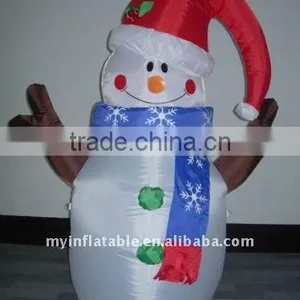 Air Blown Decoration thumbnail-5