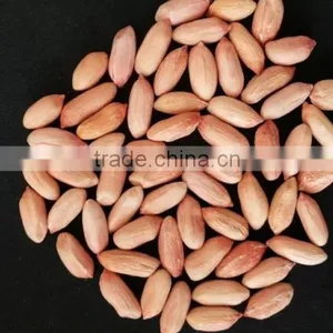 2014 Peanut Kernels, Large Size Peanut Kernels Luhua Type 24/28, 28/32, 34/38, 38/42, 45/55 thumbnail-2