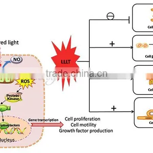 Professional Beauty Salon Infrared LED Light Therapy 4 Colors LED PDT Device thumbnail-6