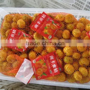 Sweet Baby Mandarin Orange thumbnail-1
