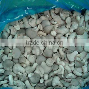 IQF Oyster Mushroom thumbnail-1