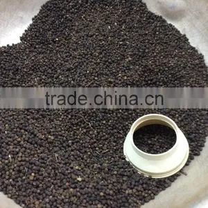 BLACK PEPPER thumbnail-5