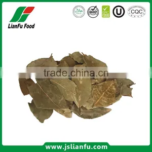 Dehydrated Dried AD Air Dry Bay Leaf thumbnail-1