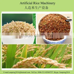 Hot Sale SP70 CE Certificate Artificial Rice Machine/making Machinery/extruder in China thumbnail-5