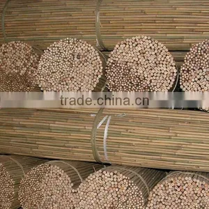 WY-202 Whole Part and Pole Shape Bamboo Cane for Sale thumbnail-3