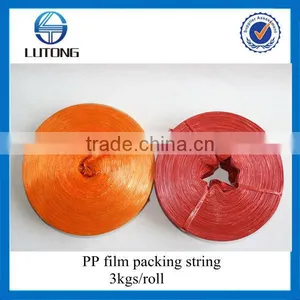pp Film thumbnail-1