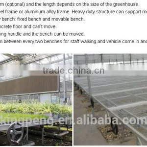 Moveable Seedling Bed Used for Agricultural Greenhouse thumbnail-1