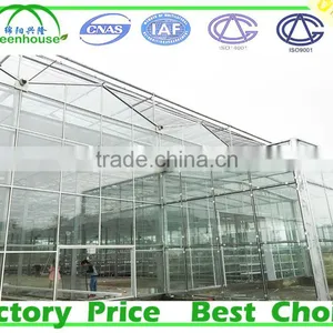 Wind Span Glass Greenhouse thumbnail-3