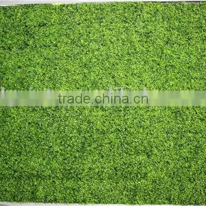 Stickers Home Garden Deco 200*200 cm Indoor or Outdoor Artificial Plain Green Climbing Plant Wall Ezwq10 1016 thumbnail-1