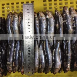 Sea Frozen Anchovy Fillets in Vinegar Water thumbnail-1