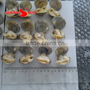 Frozen Boiled Baby Clam thumbnail-5