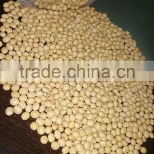 Soyabean Seed thumbnail-4