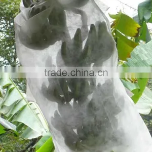Steady Quality China Agricultural PP Non-woven Fabric,Crop Cover thumbnail-2