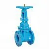 Rising Stem Resilient Seated Gate Valve thumbnail-1