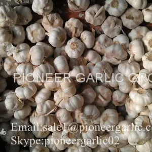 New Crop Natural Fresh Jinxiang Shandong White Garlic thumbnail-2