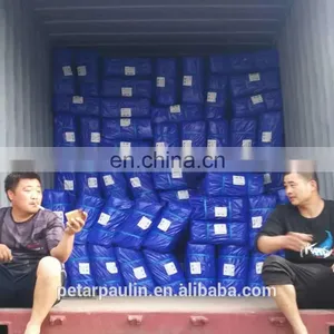 PE Tarpaulin Roll, Polyethylene Tarps, 100% Waterproof Tarpaulin Sheets thumbnail-7