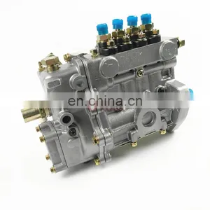 Genuine Kangda Diesel Fuel Injection Pump 4QT72 BQ2000 BH4QT80R9 thumbnail-6