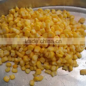 Vietnam Frozen Yellow Sweet Corn Seed thumbnail-3