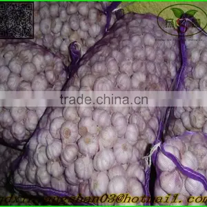 White Garlic,Normal White Garlic thumbnail-3