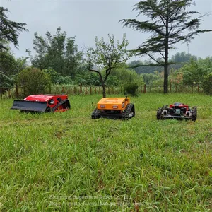 Robotic Slope Mower, China Grass Cutter Price, Robot Lawn Mower for Hills for Sale thumbnail-1