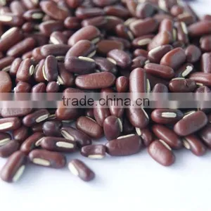 Red Bamboo Beans thumbnail-1