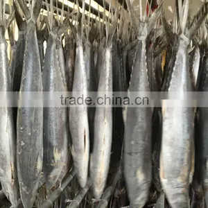 2015 Hung Frozen Spanish Mackerel Whole Gutted thumbnail-3