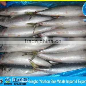 100/200g 200/300g 300/500g 400/600g Scomber Japonicus thumbnail-5