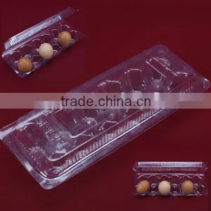 Transparent Clean Plastic Fruit Box /egg Box With Holes thumbnail-1