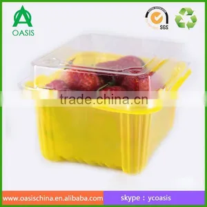 250g Plastic Strawberry Punnet thumbnail-2