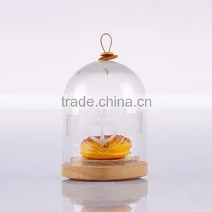Wedding&home Decoration Glass Dome, Glass Cloche for Decoration thumbnail-2