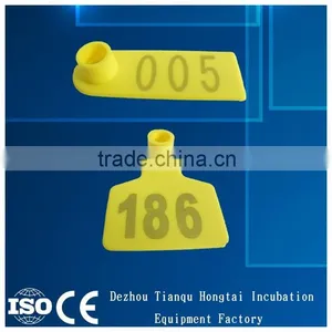 Yellow Ear Tag thumbnail-4