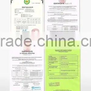 Weight Loss Green Tea/Yijian 100% Organic Green Tea thumbnail-5