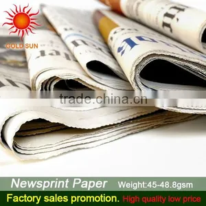 News Sun Paper thumbnail-1