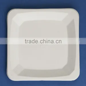 PL-08-S 8.25 Inches Different Shapes Disposable Flate Square Shape Sugarcane Dinner Plates thumbnail-3