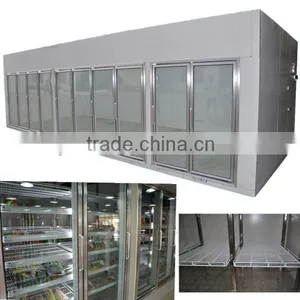 Supermarket Glass Door Freezer / Glass Door Display Cold Room thumbnail-1