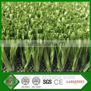 Volleyball Grass thumbnail-1