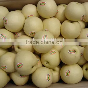 Fresh Pear Golden Pear thumbnail-1