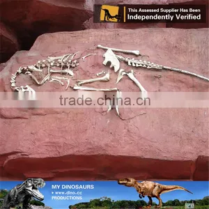 MY Dino-C092 Simulation Dinosaur Fossil Specimens for Sale thumbnail-1