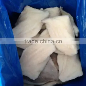 Frozen Fish Fillets-John Dory Fillet for Market thumbnail-4