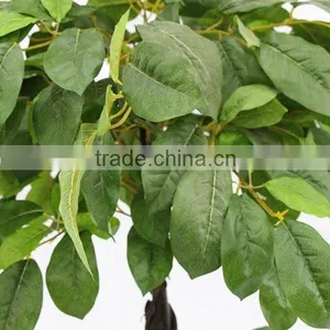 Indoor Artificial Big Leaves Plant Trees Wooden Trunk for Decoration thumbnail-3